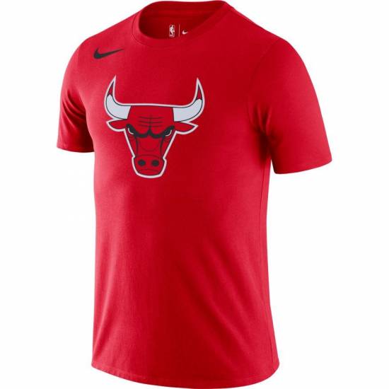 Футболка баскетбольна чоловіча Chicago Bulls Logo Men's Nike Dri-FIT NBA T-Shirt (DA6005-657)