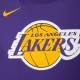 Футболка баскетбольна Nike Los Angeles Lakers NBA Dri-Fit чоловіча (DA6023-547)