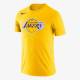 Футболка чоловіча баскетбольна Nike NBA Los Angeles Lakers Men's Dri-FIT Logo T-Shirt (DA6023-728)