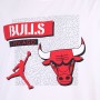 Футболка баскетбольна Nike Jordan Chicago Bulls Dri-Fit NBA T-Shirt (DA6610-100)