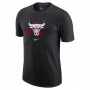 Футболка баскетбольна чоловіча Chicago Bulls Logo Men's Nike Dri-FIT NBA T-Shirt (DH7073-010) Футболка баскетбольна чоловіча Chicago Bulls Logo Men's Nike Dri-FIT NBA T-Shirt (DH7073-010)
