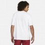 Футболка спортивна чоловіча Jordan Dri-FIT Sport (DH8920-100) Футболка спортивна чоловіча Jordan Dri-FIT Sport (DH8920-100)