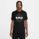 Футболка чоловіча баскетбольна LeBron Nike Dri-FIT Men's Basketball T-Shirt (DZ2702-010)