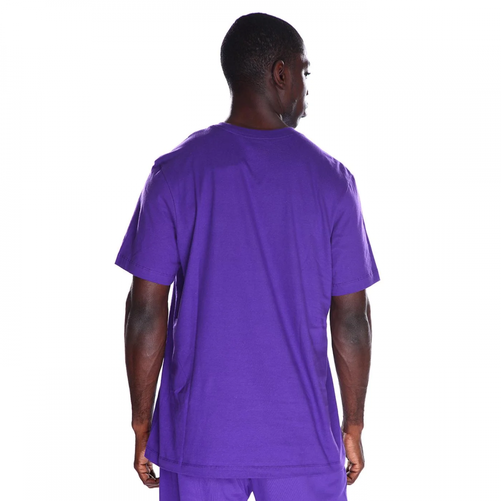 Футболка чоловіча баскетбольна Los Angeles Lakers Essential Men's Jordan NBA T-Shirt (FB9827-504)