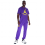 Футболка чоловіча баскетбольна Los Angeles Lakers Essential Men's Jordan NBA T-Shirt (FB9827-504)