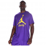 Футболка чоловіча баскетбольна Los Angeles Lakers Essential Men's Jordan NBA T-Shirt (FB9827-504)