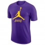 Футболка чоловіча баскетбольна Los Angeles Lakers Essential Men's Jordan NBA T-Shirt (FB9827-504)