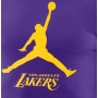 Футболка чоловіча баскетбольна Los Angeles Lakers Essential Men's Jordan NBA T-Shirt (FB9827-504)