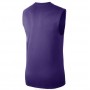 Майка баскетбольна чоловіча Nike Los Angeles Lakers розмір M, L, XL (AT0628-547) Майка баскетбольна чоловіча Nike Los Angeles Lakers розмір M, L, XL (AT0628-547)