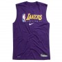 Майка баскетбольна чоловіча Nike Los Angeles Lakers розмір M, L, XL (AT0628-547) Майка баскетбольна чоловіча Nike Los Angeles Lakers розмір M, L, XL (AT0628-547)