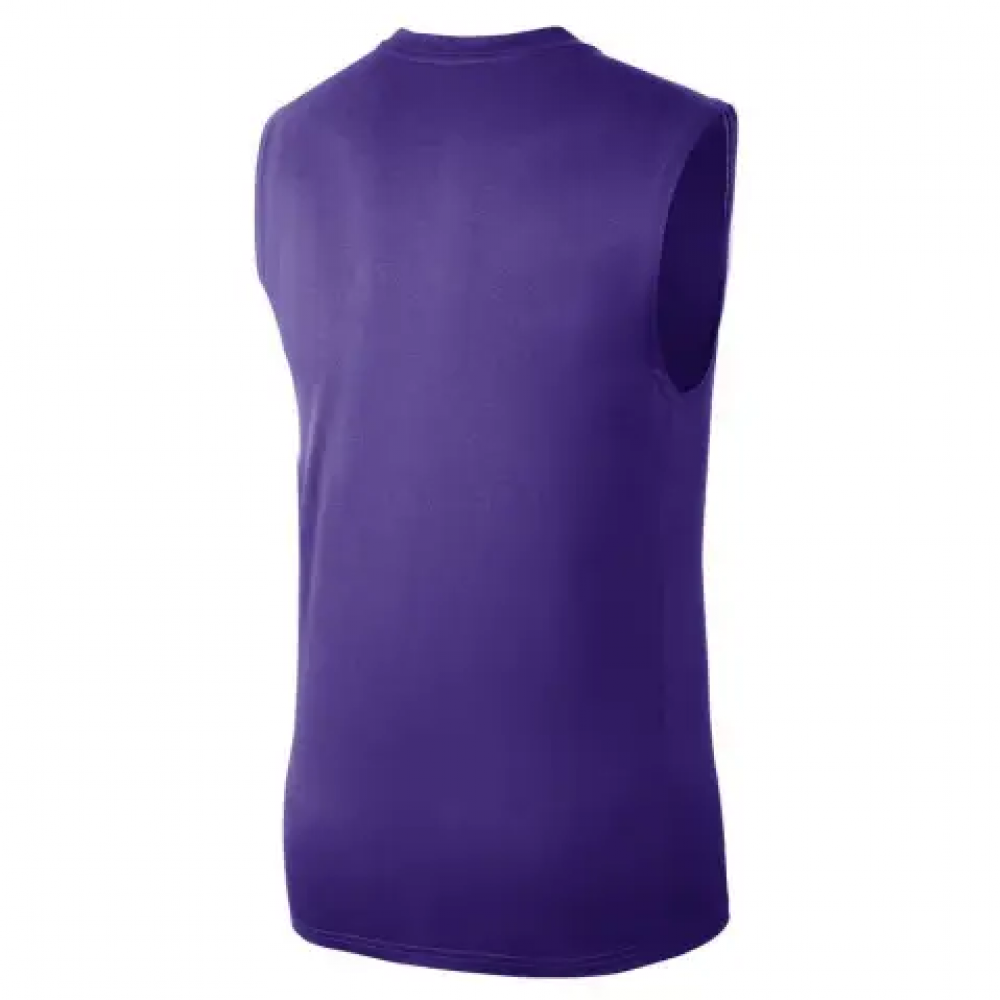Майка баскетбольна Nike NBA Los Angeles Lakers Essential Tank Top (FQ1978-504)