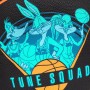 М'яч баскетбольний Spalding Space Jam Tune Squad Roster BasketBall розмір 7 гумовий для вулиці-зали (84540Z) М'яч баскетбольний Spalding Space Jam Tune Squad Roster BasketBall розмір 7 гумовий для вулиці-зали (84540Z)