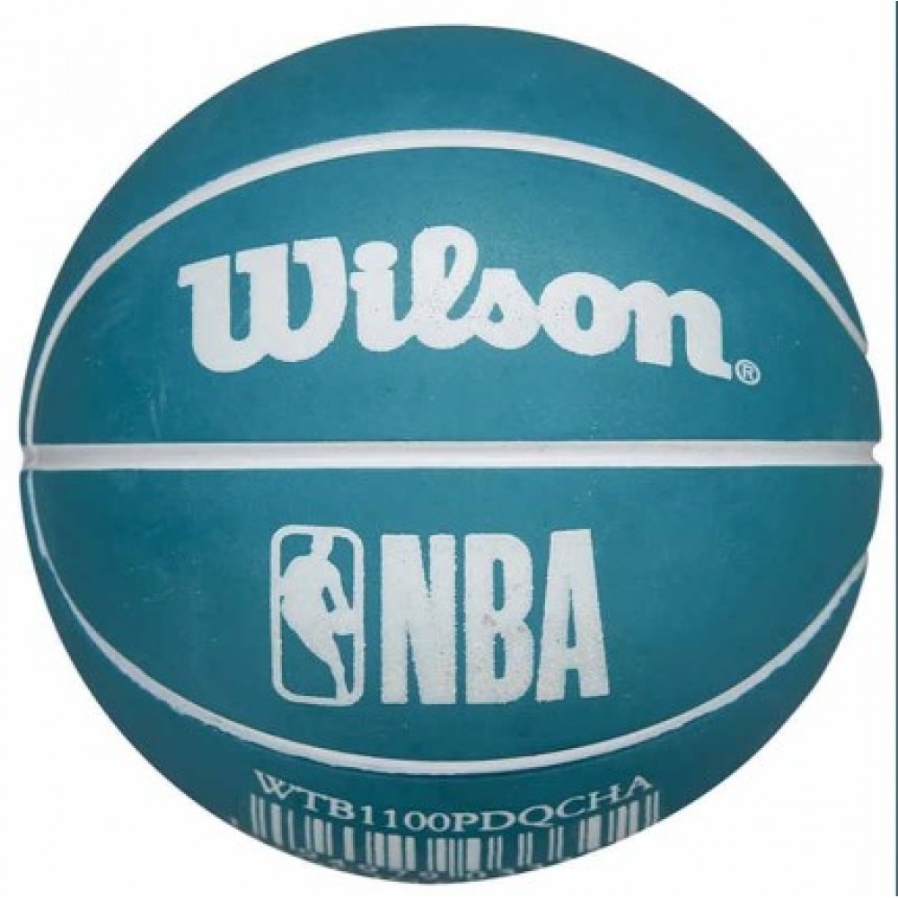 Міні-м'яч баскетбольний для дриблінгу Wilson NBA Dribbler Charlotte Hornets 6 см (WTB1100PDQCHA)