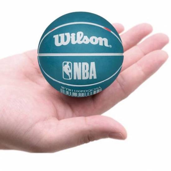 Міні-м'яч баскетбольний для дриблінгу Wilson NBA Dribbler Charlotte Hornets 6 см (WTB1100PDQCHA)