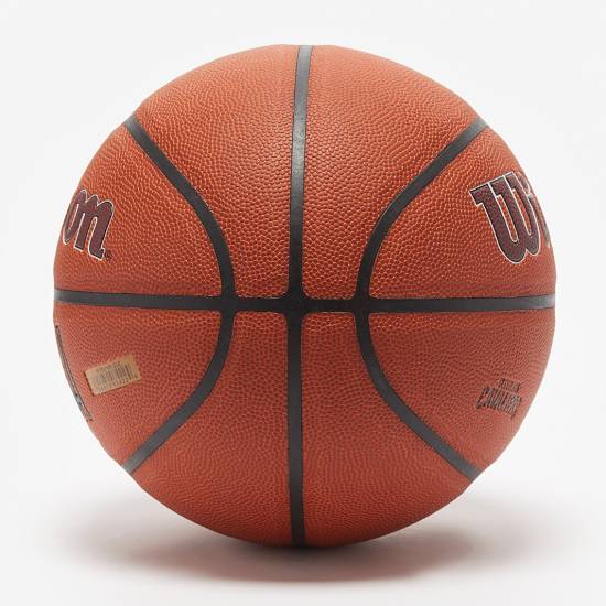 М'яч баскетбольний Wilson NBA Team Alliance Cleveland Cavalies розмір 7 композитна шкіра (WTB3100XBCLE)