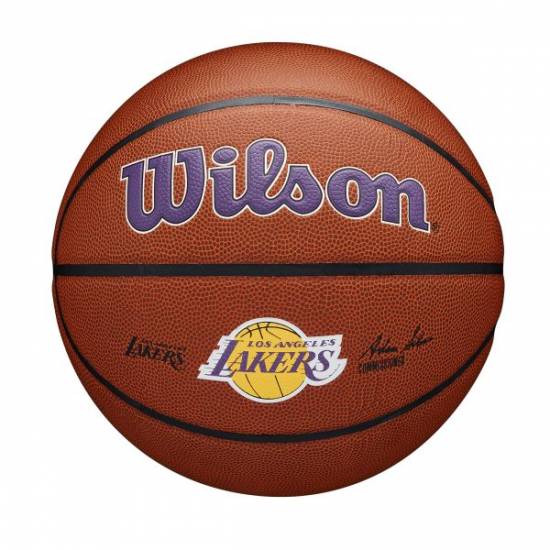М'яч баскетбольний Wilson NBA Team Composite Los Angeles Lakers розмір 7 композитна шкіра (WTB3100XBLAL)