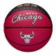 М'яч баскетбольний Wilson NBA Team City Collector Chicago Bulls розмір 7 композитна шкіра (WZ4003905XB7)