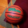 Мяч баскетбольний Wilson Evolution розмір 7 композитна шкіра коричневий (WTB0595XB0701) Мяч баскетбольний Wilson Evolution розмір 7 композитна шкіра коричневий (WTB0595XB0701)