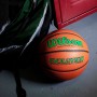 Мяч баскетбольний Wilson Evolution розмір 7 композитна шкіра коричневий (WTB0595XB0701) Мяч баскетбольний Wilson Evolution розмір 7 композитна шкіра коричневий (WTB0595XB0701)