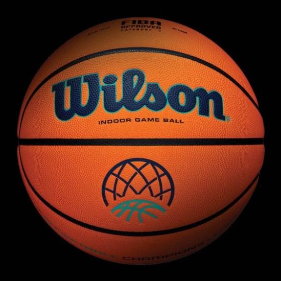 Мяч баскетбольний професійний Wilson Evo NXT FIBA Champions League розмір 7 композитна шкіра (WTB0900XBBCL)