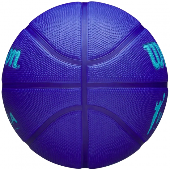 М'яч баскетбольний Wilson WNBA DRV Outdoor розмір 6 гумовий (WZ3006601XB6)
